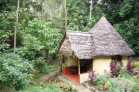 Mshai Executive Room