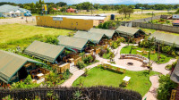 Safari Camp