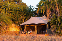 The Plains Camp consists of 4 fully furnished tents, each with an en-suite bathroom. Each tent can sleep 2 persons. The camp is located in the middle of the plains on an island and from your tent you have a perfect view on the plains and the marsh.