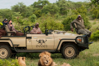 Sensational safaris