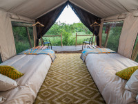 Safari tent