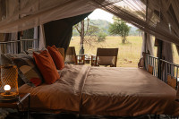 Tent View