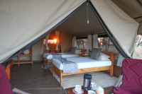 Interior - twin-bedded tent