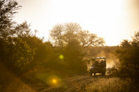 Exciting game drives and dramatic landscape at Singita Kruger 