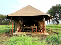 safari tanzania 3 days