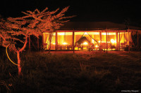 View of Wilderness Camp tent at night