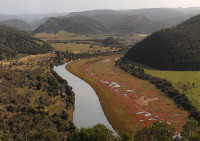 Aerial view of River Lodge
