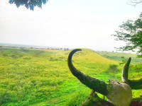 View of Queen Elizabeth National Park