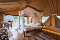 Single / Double room