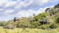 Tucked into a cliff face, barely visible. Elephants wander close to the lodge 