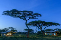 Ndutu Wilderness Camp location