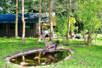 The Woodlands where waterholes attract birds and small mammals