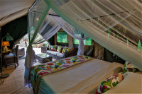 The Woodlands tent interior