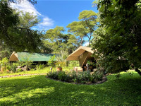 The Woodlands at Waterberry