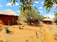 Safari hut
