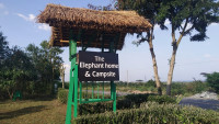 Sing t entrance