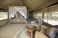 Comfort Tent 