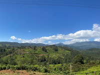 Aberdare ranges view