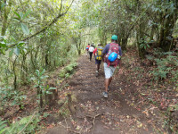 Aberdare forest hike