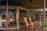 Family Tent