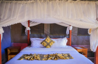 Single Deluxe Tent