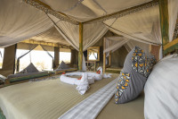 Comfort Safari Tent