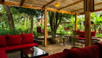 Restaurant - Bar Area