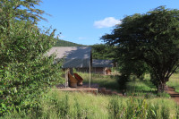 Oseki Mara Camp safari tents