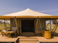 Nest tent