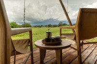 All rooms have great views of a seasonal river where elephants migrate to nearby watering holes. 