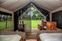 Safari Tent