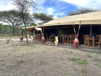 Restaurant Overview