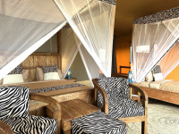 Luxury Glamping Tent