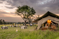 Camp