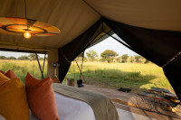 Tented suite