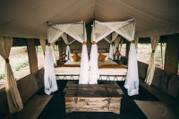 The allure of our spacious tents will keep you in comfort throughout your stay 