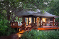 Tuli Safari Lodge Mashatu - Tent Exterior