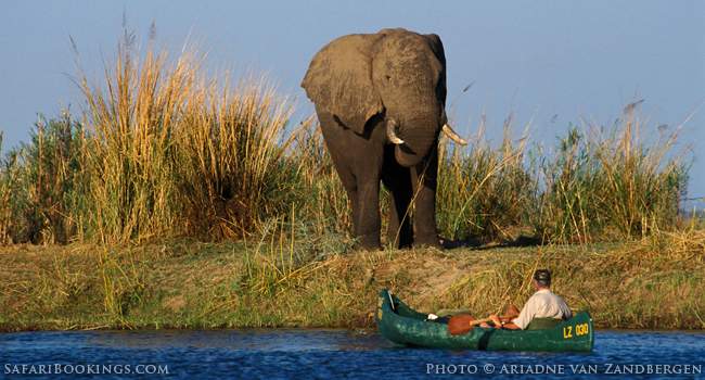 Canoes, Elephants, Guides & Pranks