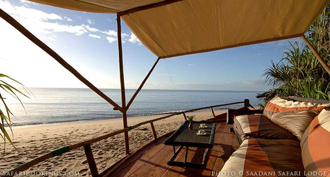 Lovely and Laid-back Saadani Safari Lodge