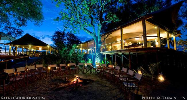Tree-Loving Toka Leya Rejuvenates Mosi-oa-Tunya