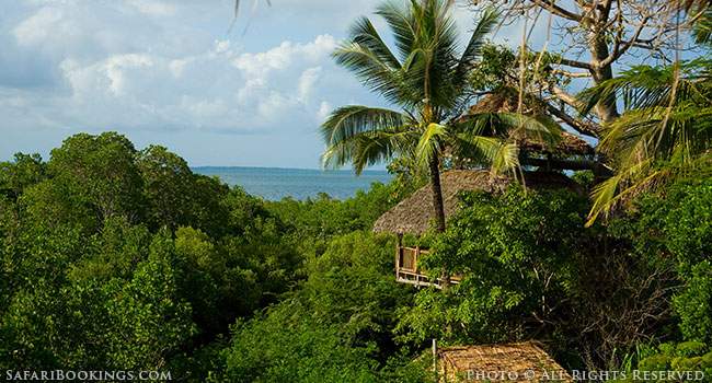 Chole Mjini: an Island of Sustainability Amidst an Ocean of Eco-Pirates