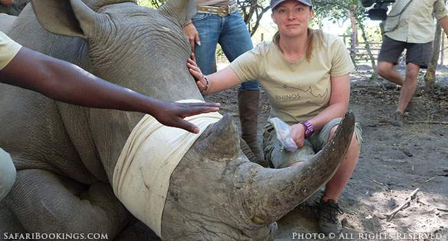 Help Protect the Rhino