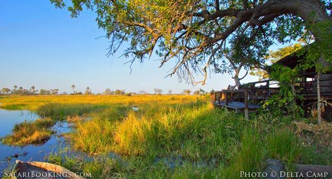 Delta Camp: Genuinely Green and Almost Unseen