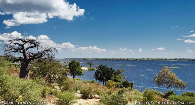 Off-Road in Chobe National Park