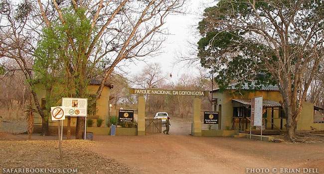 Mozambique: Safari Destination?
