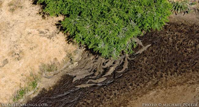 Katavi National Park: The Anti-Serengeti
