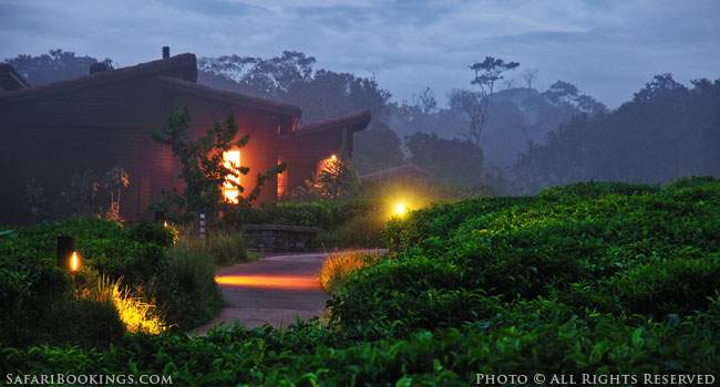 From Construction to Operation Nyungwe Lodge is Green