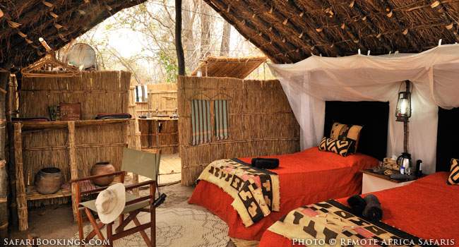 Mwaleshi Camp: the Green Houdini of the Safari Industry