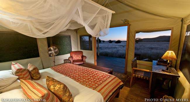 You Don’t Get Greener Than Arid Desert Rhino Camp