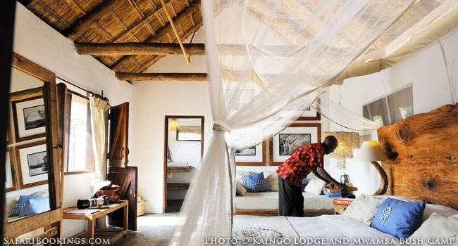 Kaingo Lodge and Mwamba Bush Camp lead the green way in Zambia